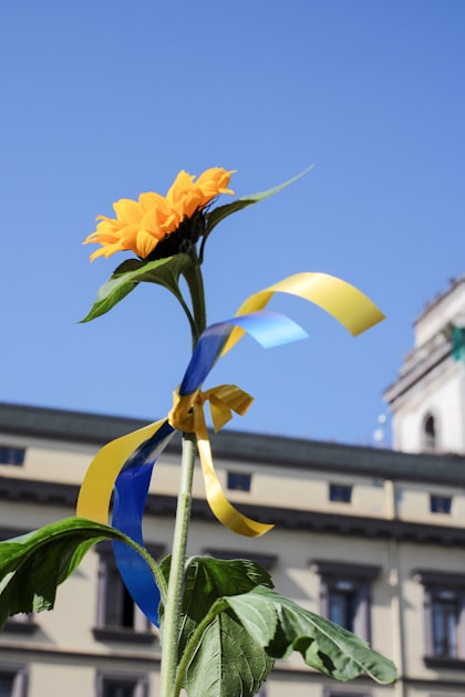 Optimistic News: A Glimpse of Hope